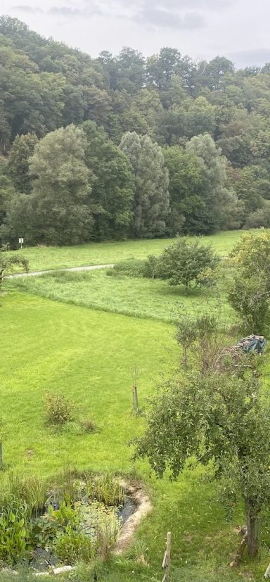 Blick ins Lahntal mit unserem Teich