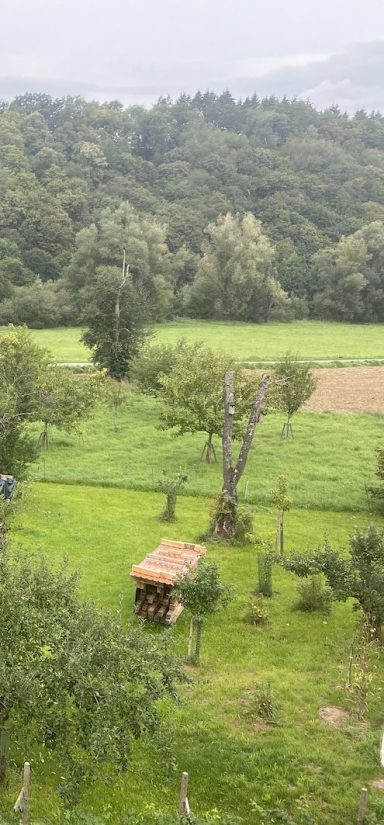 Blick von unserem Balkon auf die Wiese und Bäume im Lahntal